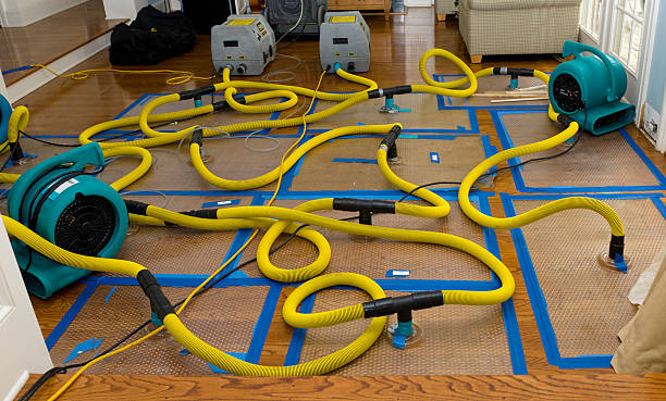 Professional Sewage Cleanup technician working in Lebanon, IN